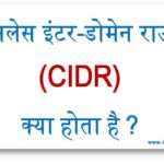 क्लासलेस इंटर-डोमेन राउटिंग (CIDR) क्या होता है ?