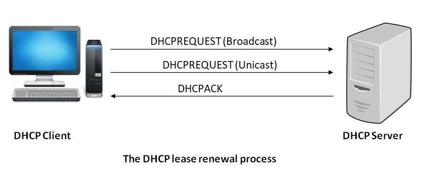 the-dhcp-lease-renewal-process
